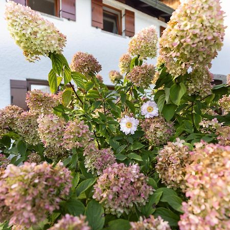 Ferienwohnung Alpenglueck Marktschellenberg Εξωτερικό φωτογραφία