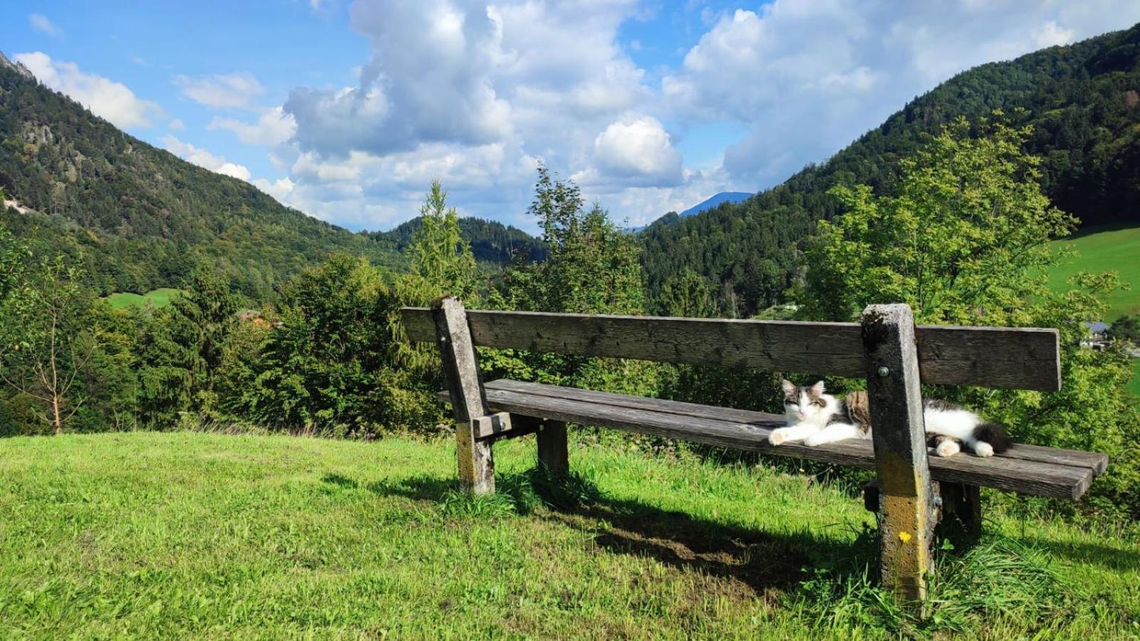Ferienwohnung Alpenglueck Marktschellenberg Εξωτερικό φωτογραφία